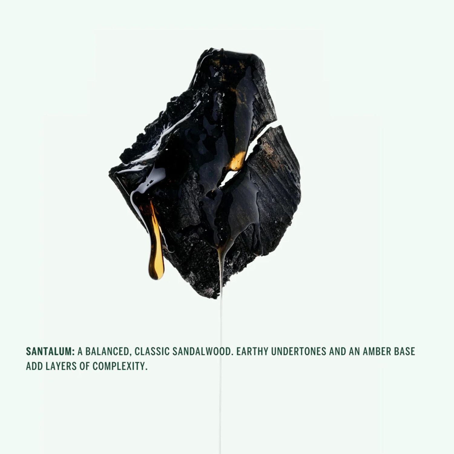 Corpus Naturals Deodorant Stick - Santalum (Size Options) Deodorants & Antiperspirants Corpus Naturals