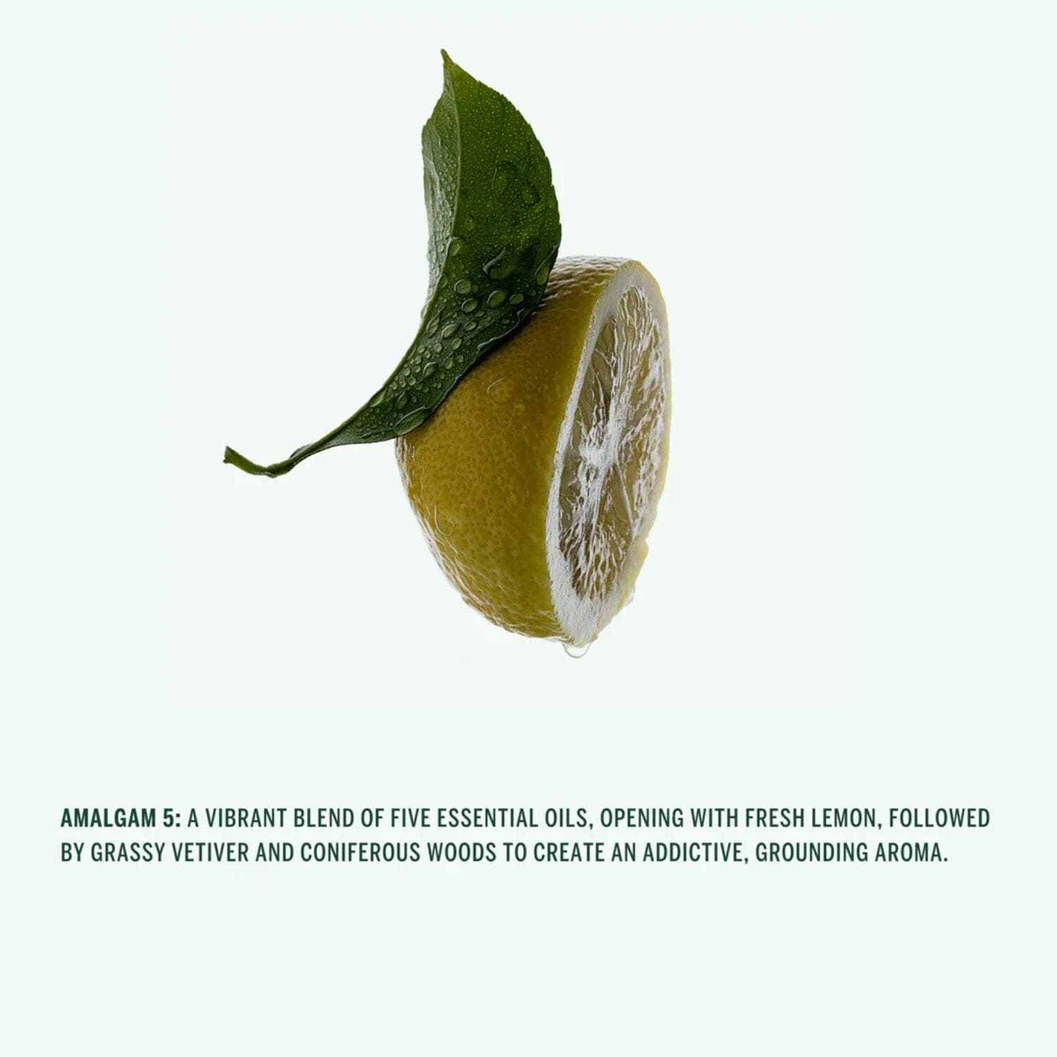 Corpus Naturals Aromatic Hand Wash - Amalgam 5 (300ml) Hand Care Corpus Naturals