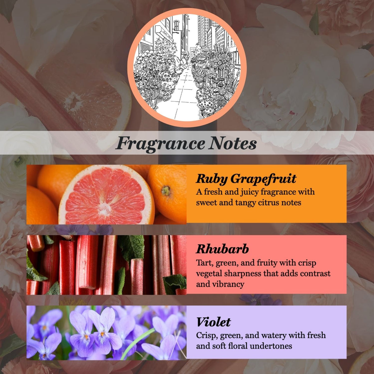 A fragrance notes graphic with a black-and-white street scene icon at the top and three labeled color blocks below: Ruby Grapefruit in orange, Rhubarb in coral pink, and Violet in light lavender. Text describes the scent notes for each ingredient.