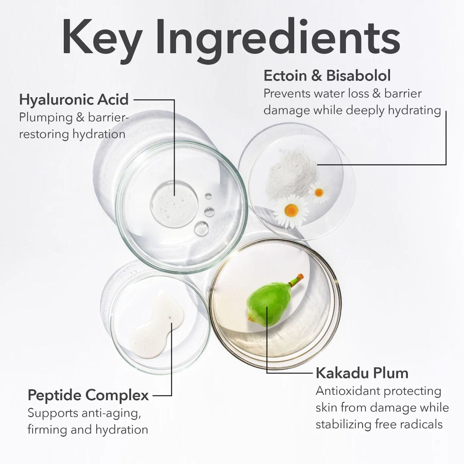 Dr. Dennis Gross DermInfusions Fill + Repair Eye Cream (15ml) Undereye Dr. Dennis Gross