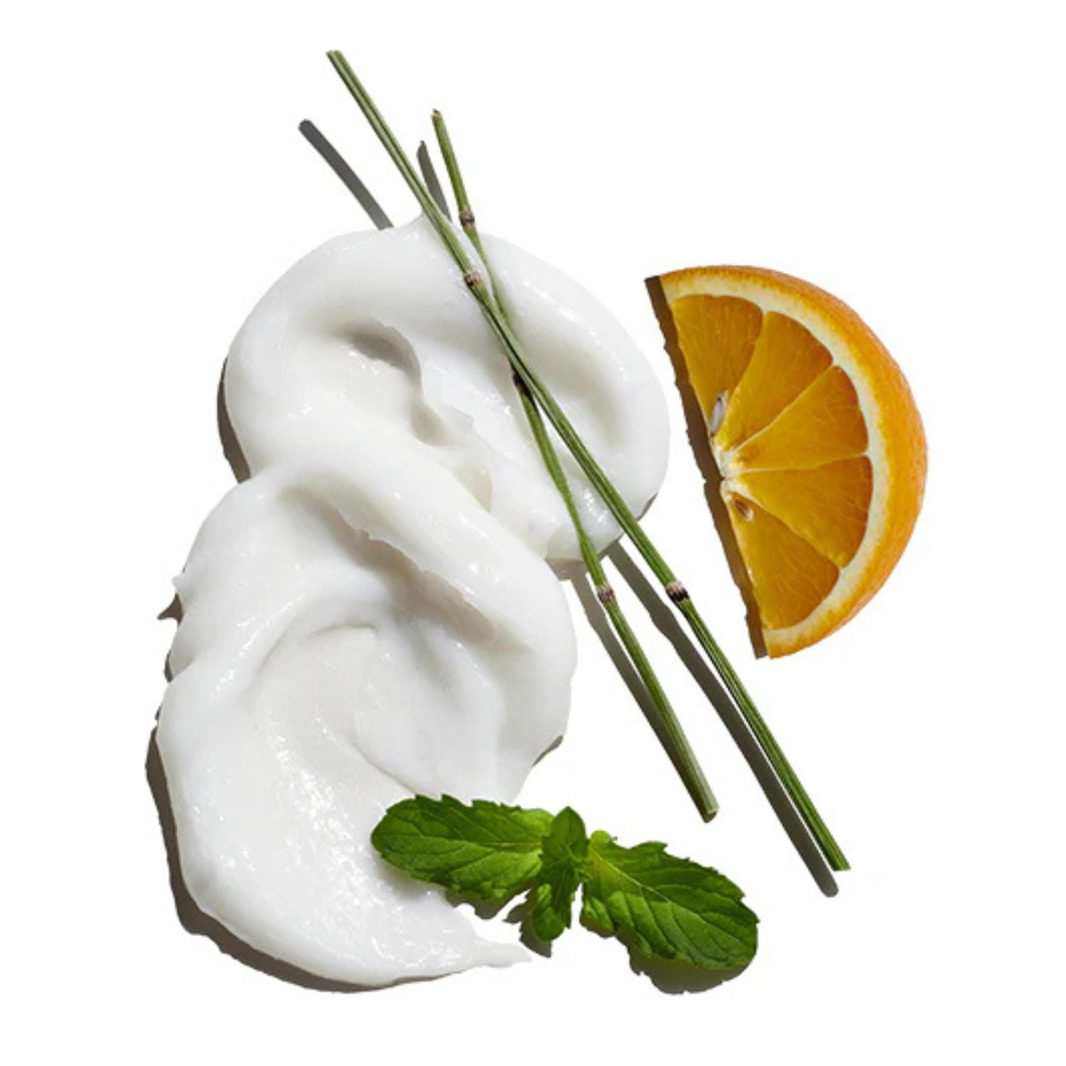 White scrub with orange slice and greenery on a white background