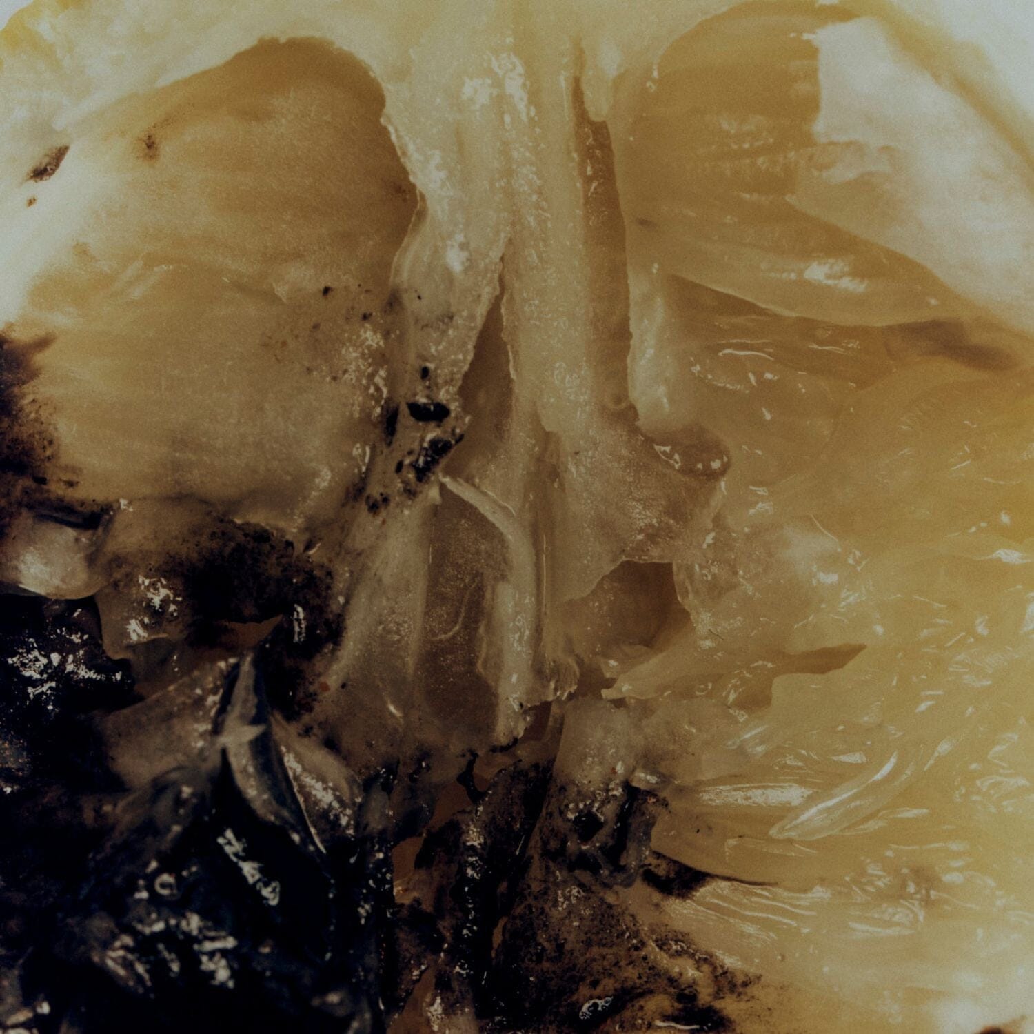 Morris Motley Black Yuzu Conditioning Handwash Refill (500ml) Hands & Feet Morris Motley