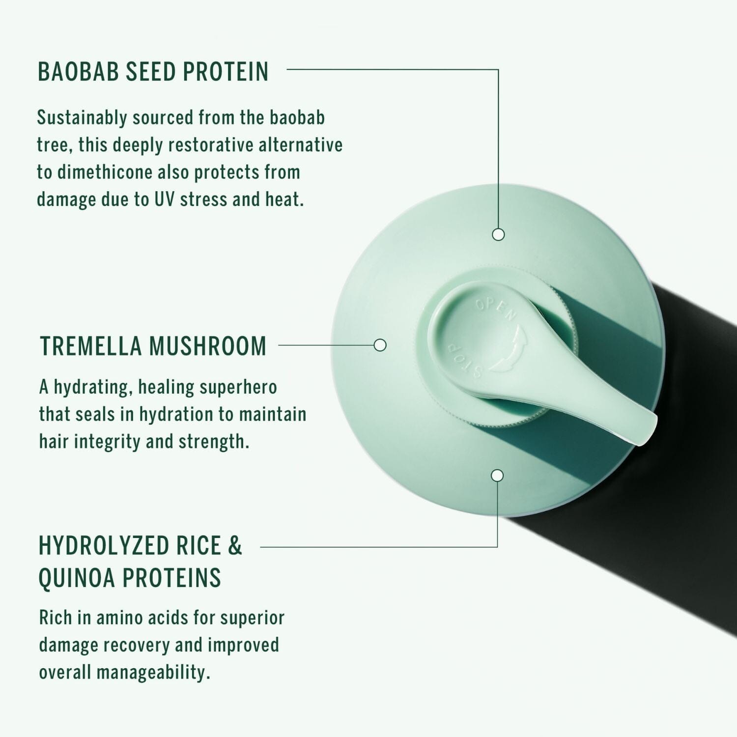 Corpus Naturals Cypress Conditioner (266ml) Conditioners Corpus Naturals