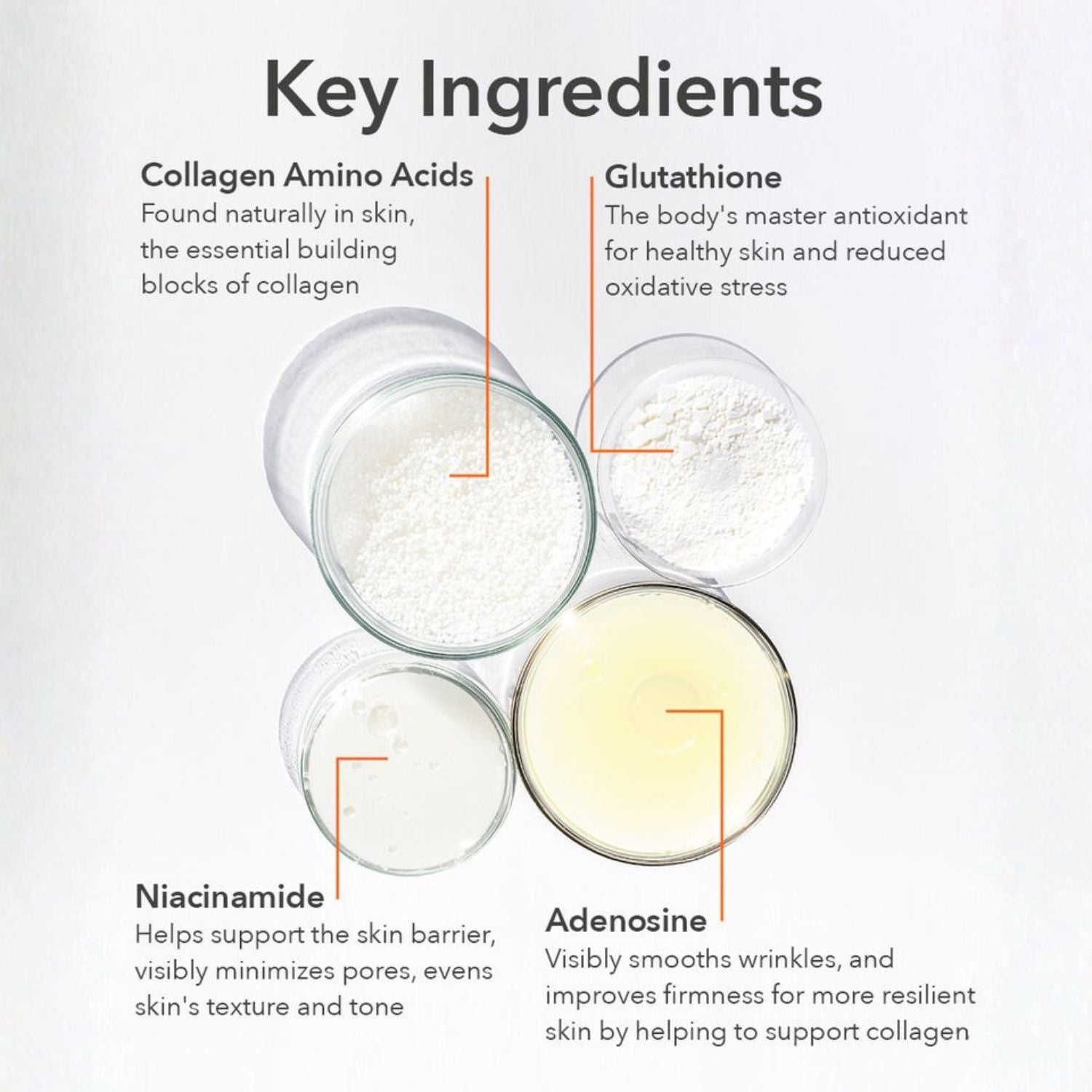 An informational graphic titled 'Key Ingredients' on a white background, showing four clear jars labeled Collagen Amino Acids, Glutathione, Niacinamide, and Adenosine with descriptive text callouts and orange lines pointing to each ingredient.