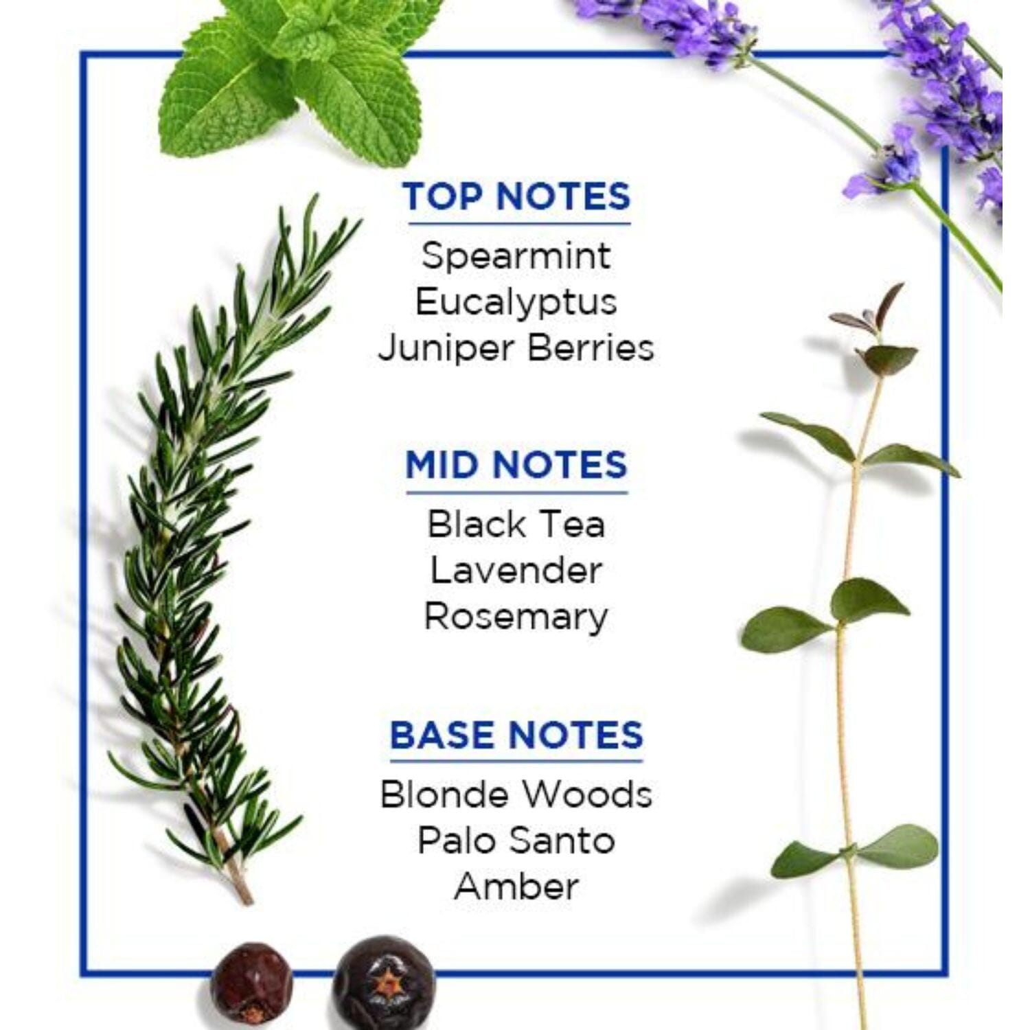 Jack Black Turbo Body Spray (100ml) Body Spray Jack Black