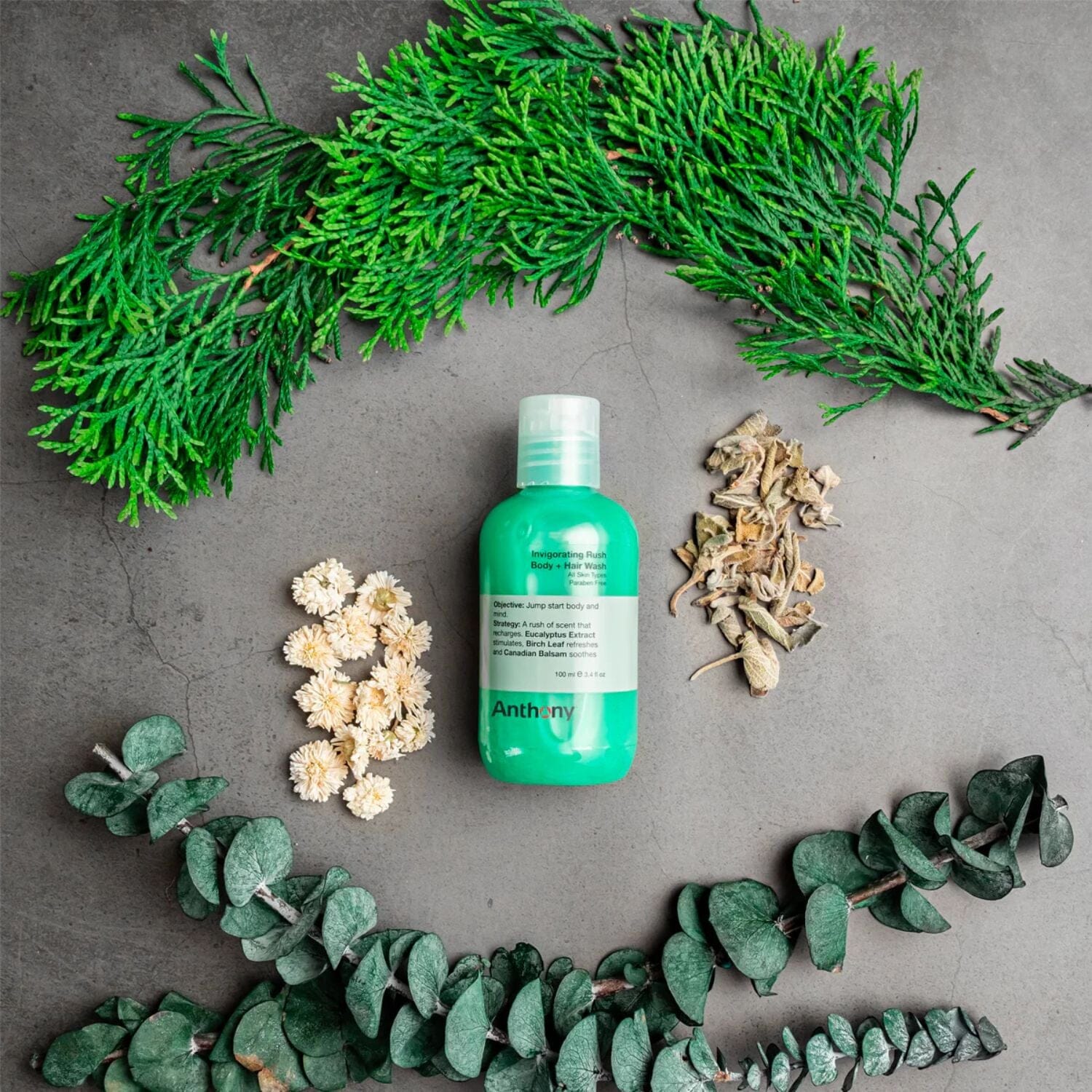 Anthony Logistics Invigorating Rush Hair & Body Wash (Size Options) Shower Gels & Washes Anthony Logistics