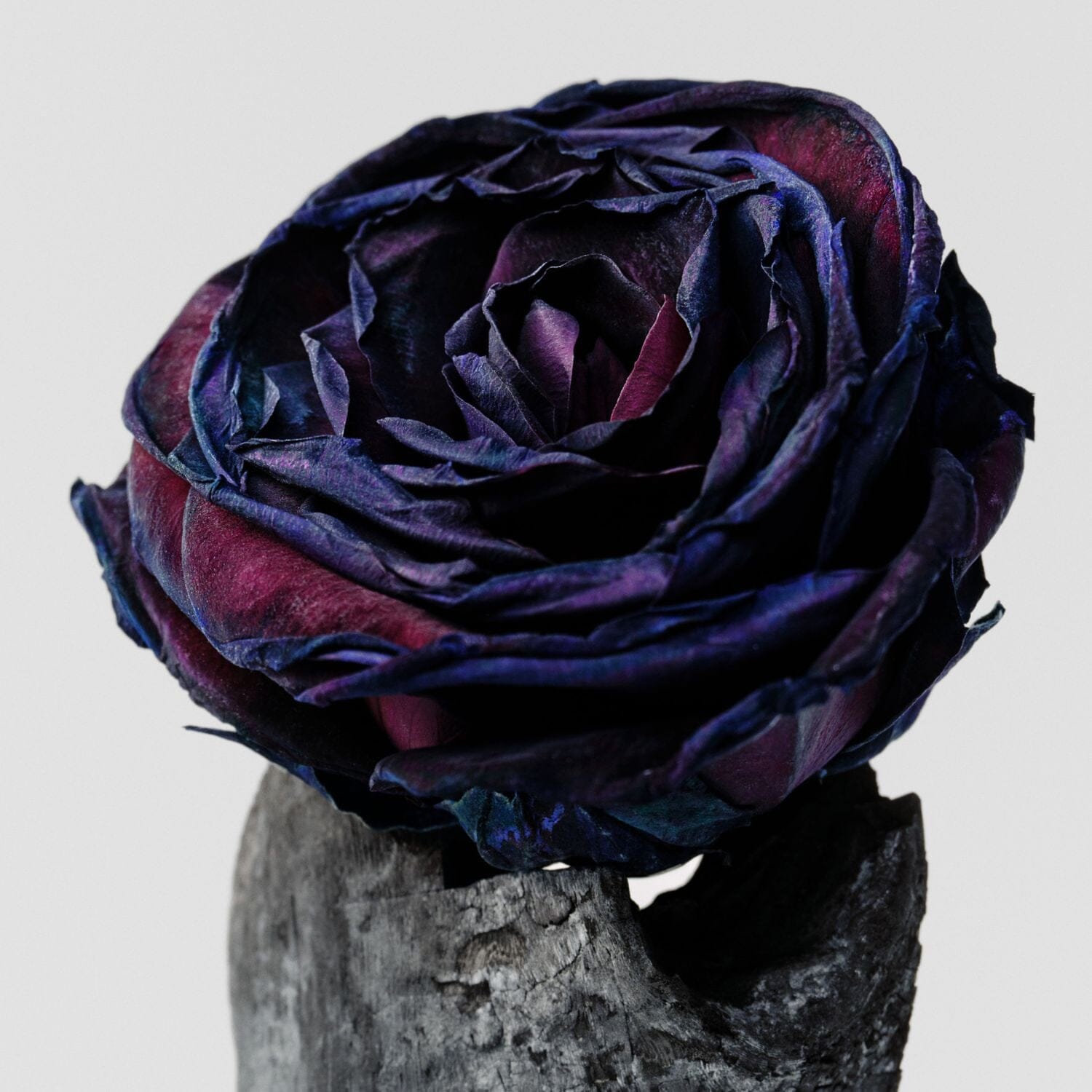 Salt & Stone Body Mist - Black Rose & Oud (100ml) Body Spray Salt & Stone