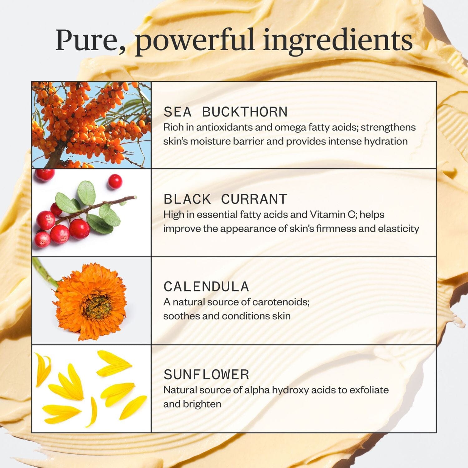 Ursa Major Golden Hour Recovery Cream (Size Options) Moisturizers Ursa Major