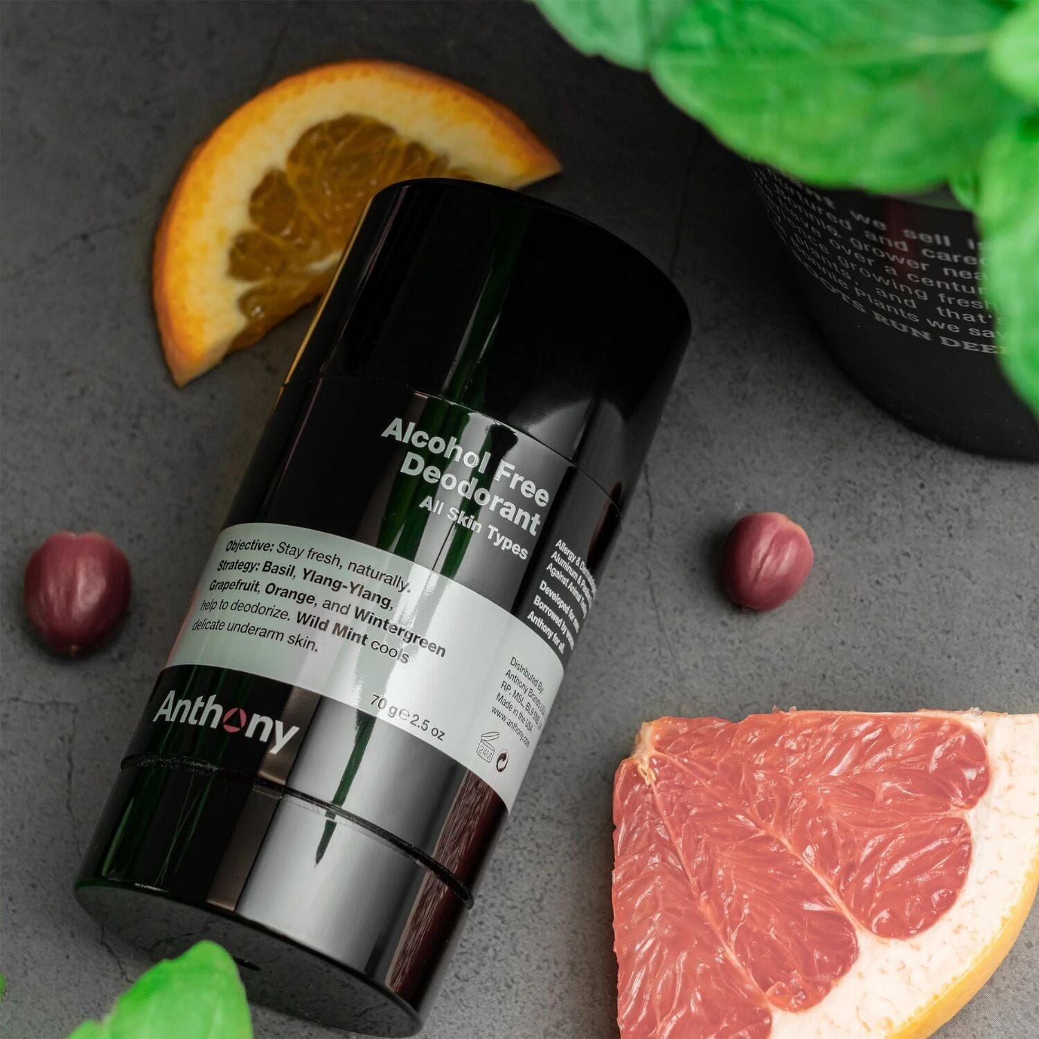 Anthony Logistics Alcohol Free Deodorant (70g) Deodorants Anthony Logistics