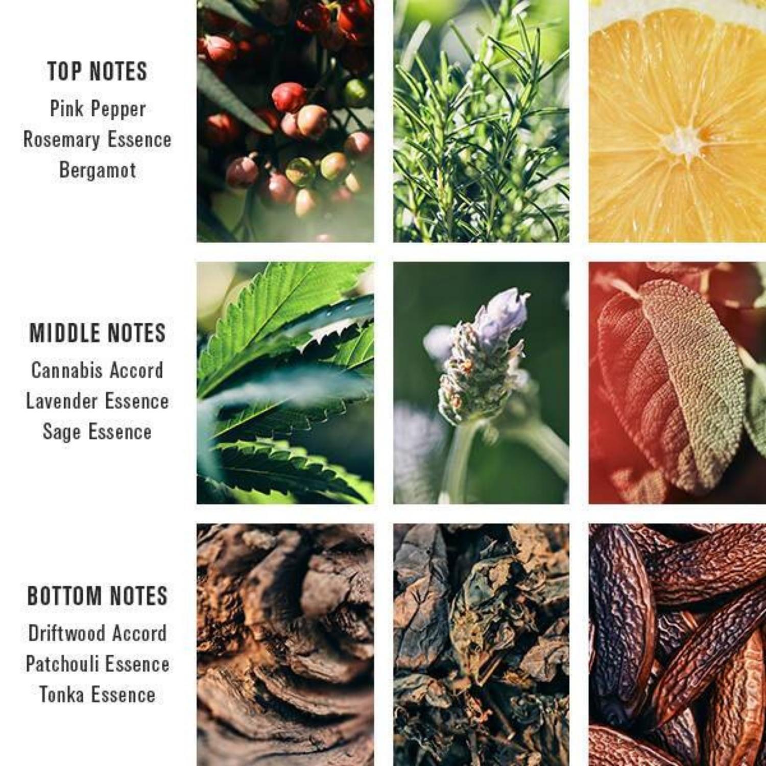 Baxter of California Pacific Cannabis EDP (100ml) Eau de Parfum Baxter Of California