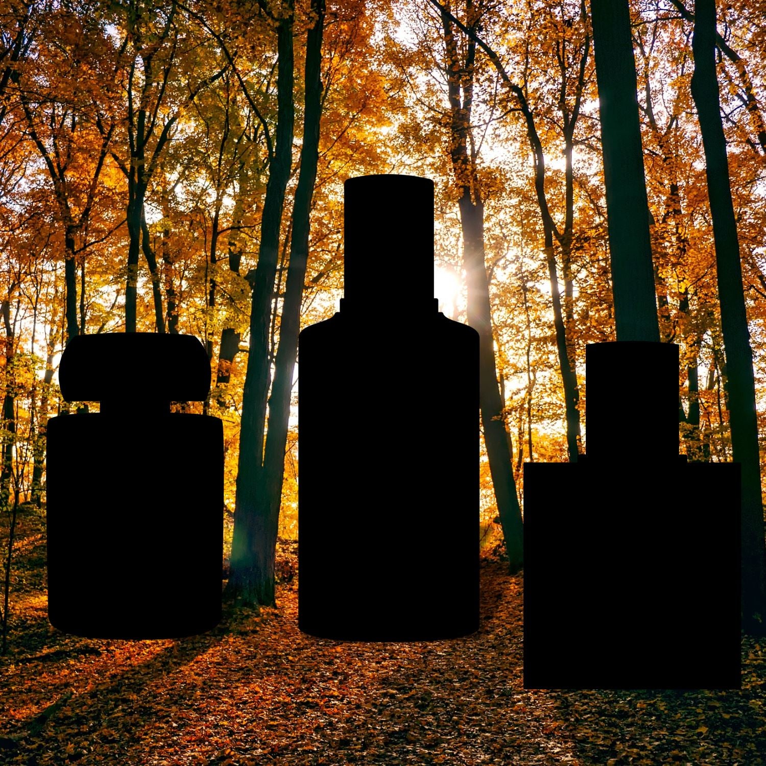 Men's Fall Fragrance Recommendations 2024