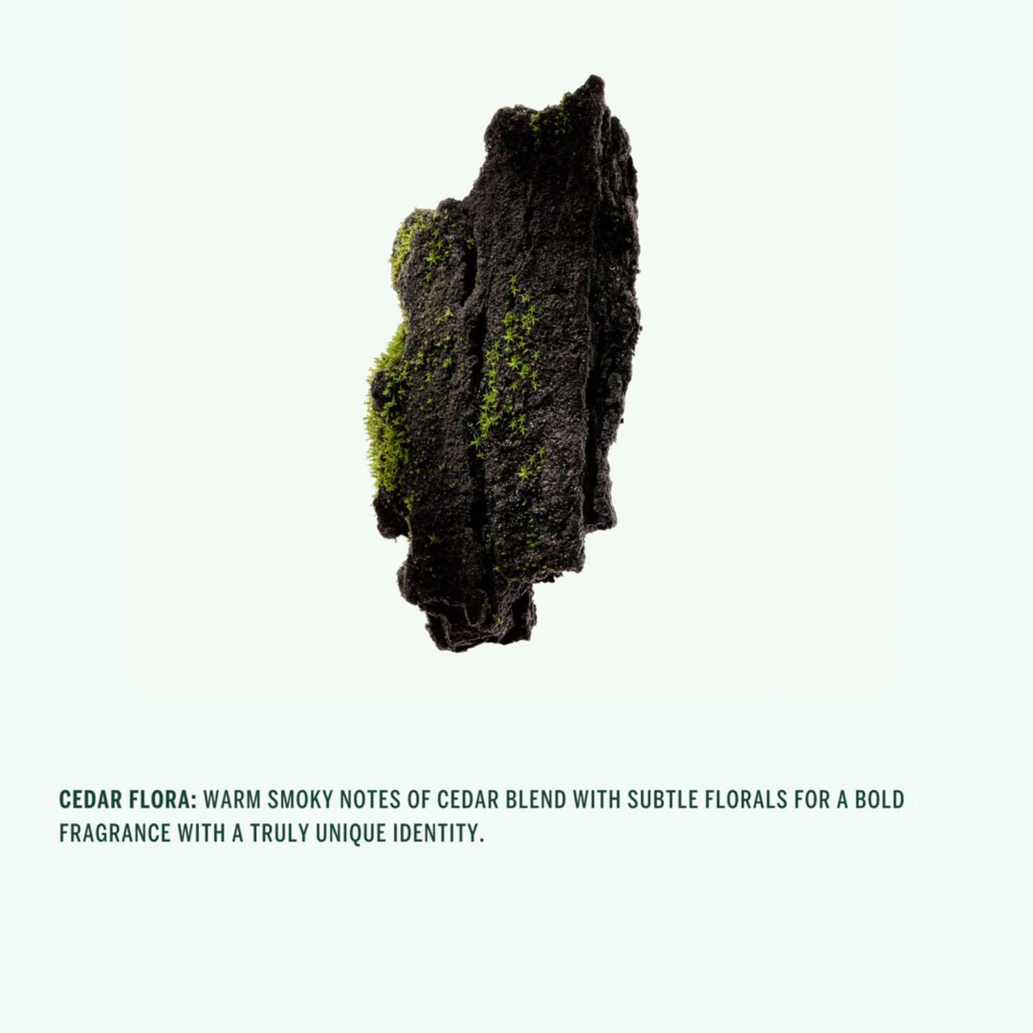 Corpus Naturals Deodorant Stick - Cedar Flora (75g) Deodorants & Antiperspirants Corpus Naturals 