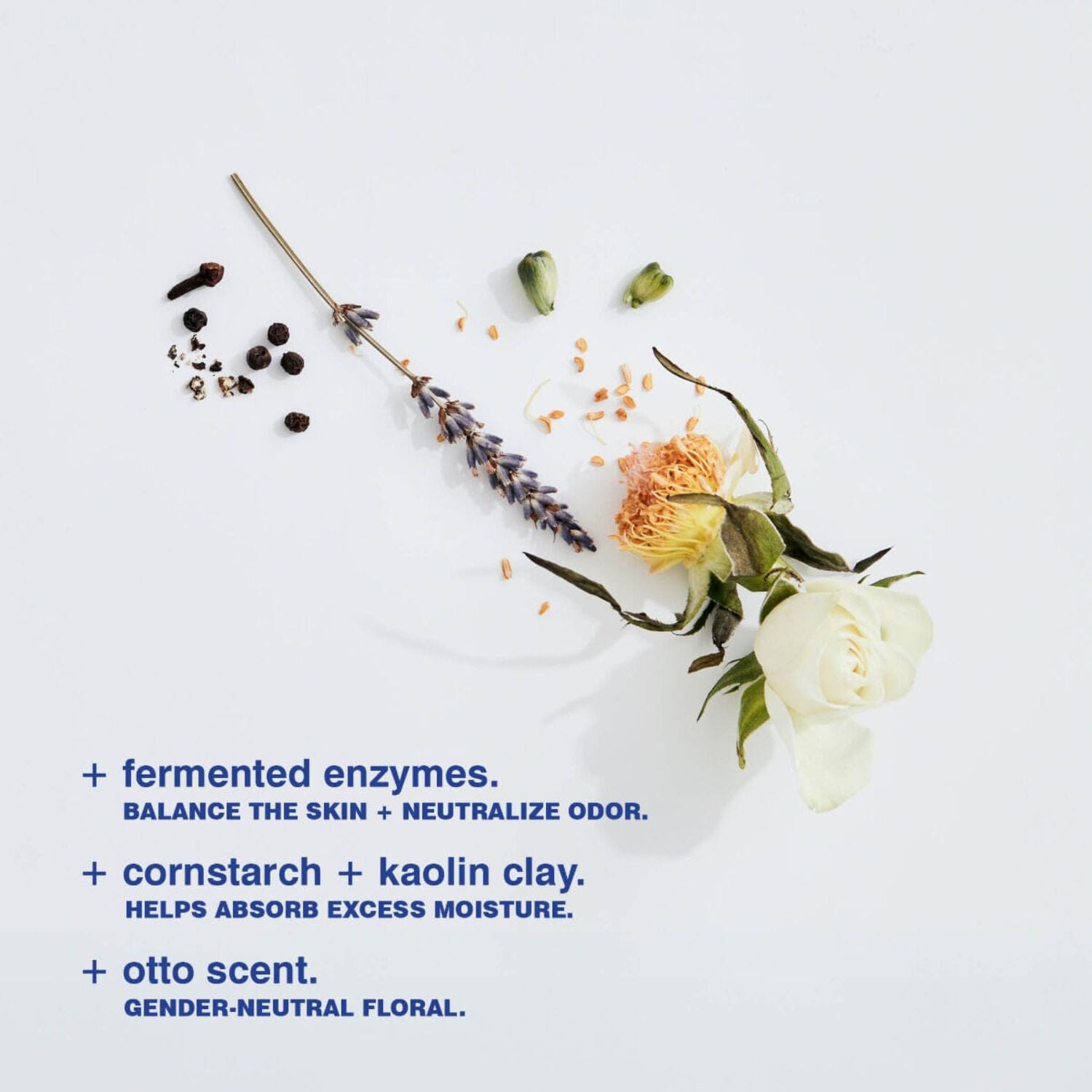 (Malin+Goetz) Otto Deodorant (73g) Deodorants & Antiperspirants (Malin+Goetz) 