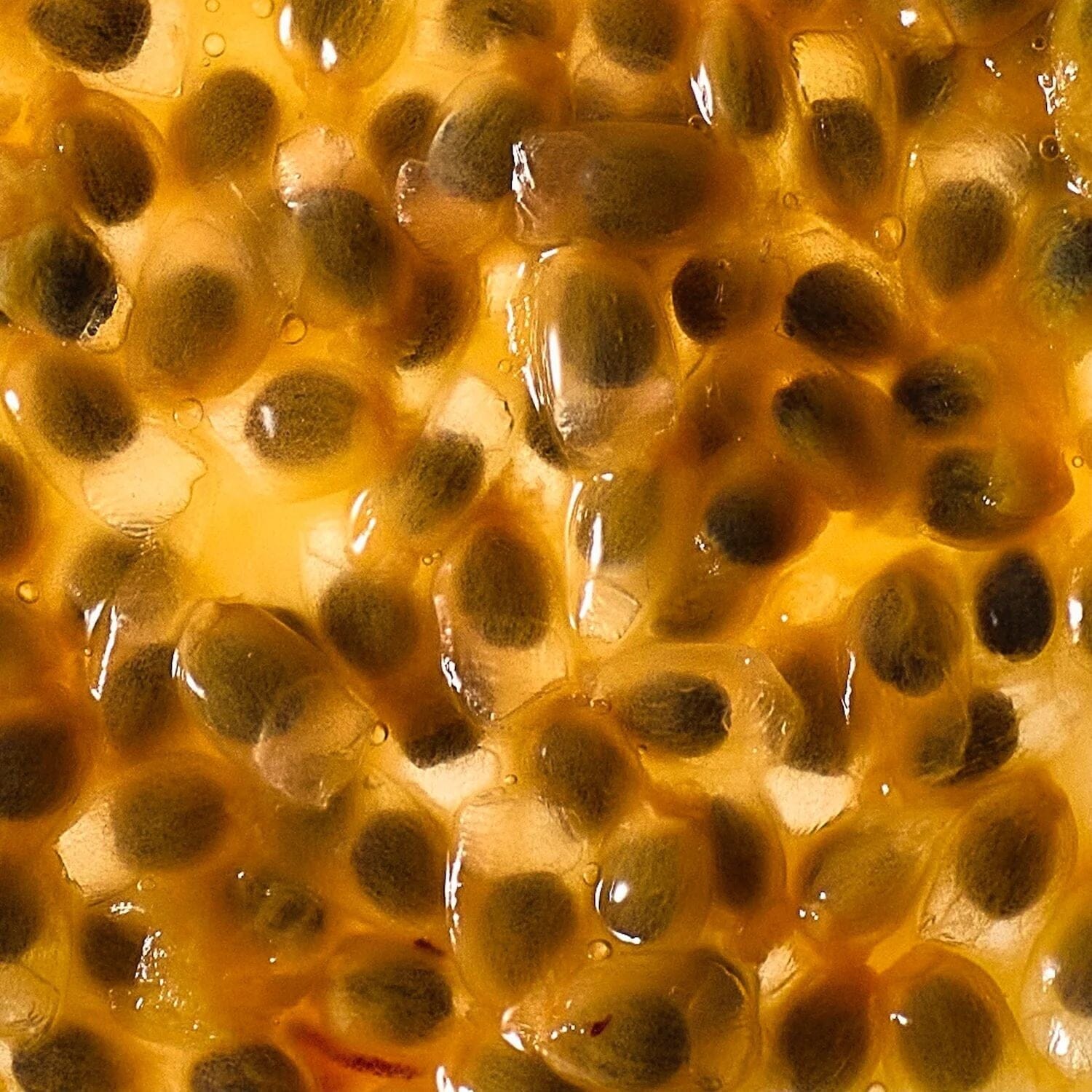 Abel Laundry Day EDP (Size Options) Fragrance Abel 