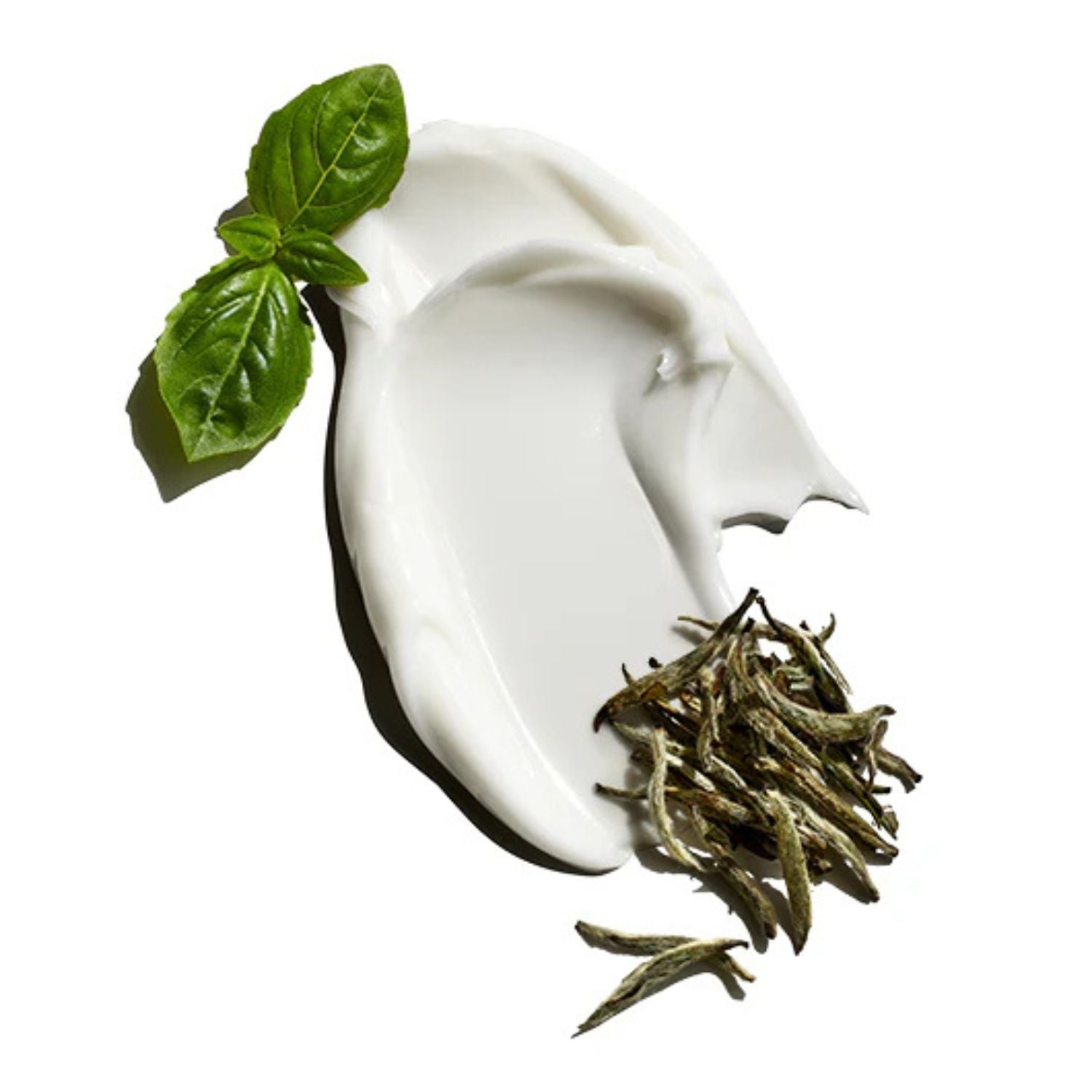 White moisturizer with basil leaves and green tea leaves on a white background