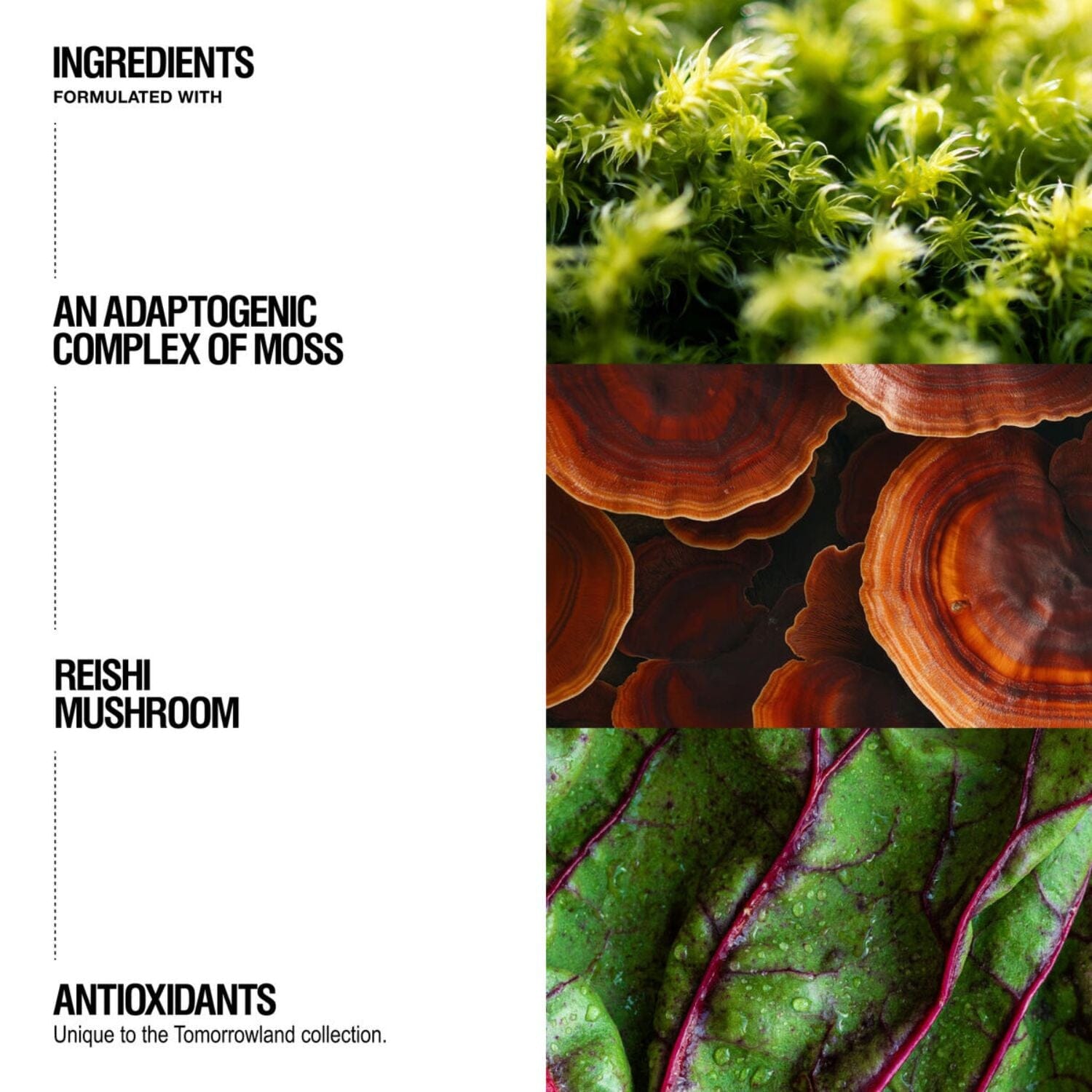 Grown Alchemist Tomorrowland Shampoo (Size Options) Shampoos Grown Alchemist 