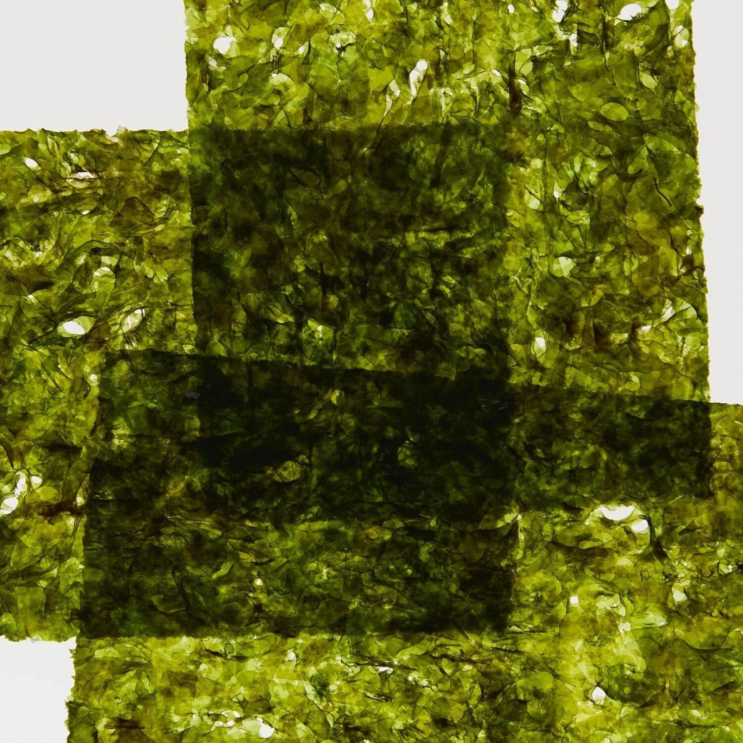 *FREE Abel Cyan Nori EDP (6ml) Eau de Parfum Abel 