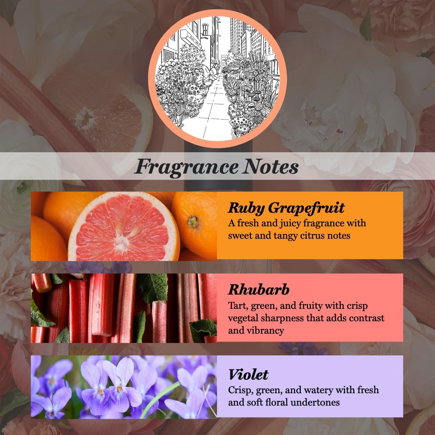 A fragrance notes graphic with a black-and-white street scene icon at the top and three labeled color blocks below: Ruby Grapefruit in orange, Rhubarb in coral pink, and Violet in light lavender. Text describes the scent notes for each ingredient.