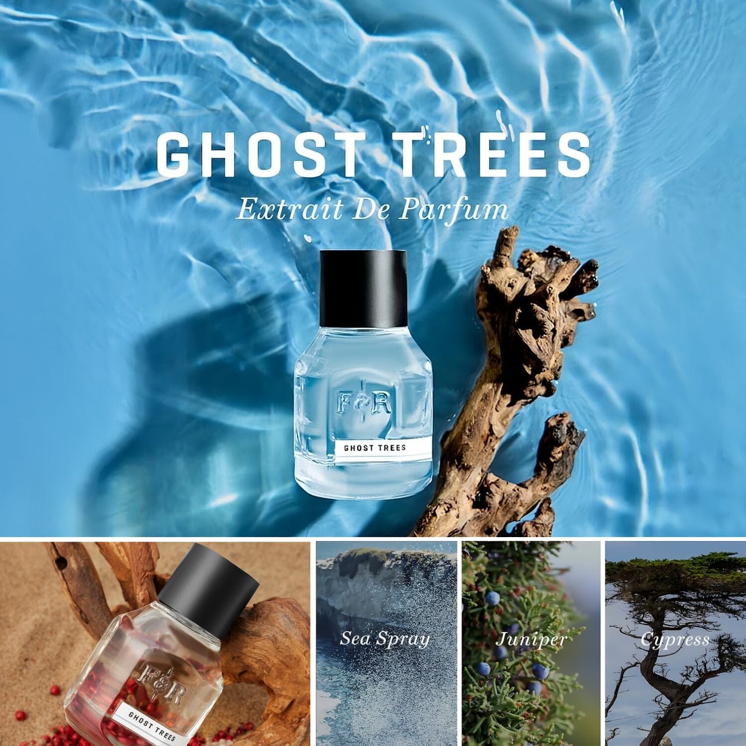 Fulton & Roark Ghost Trees Extrait De Parfum (50ml) Extrait de Parfum Fulton & Roark 