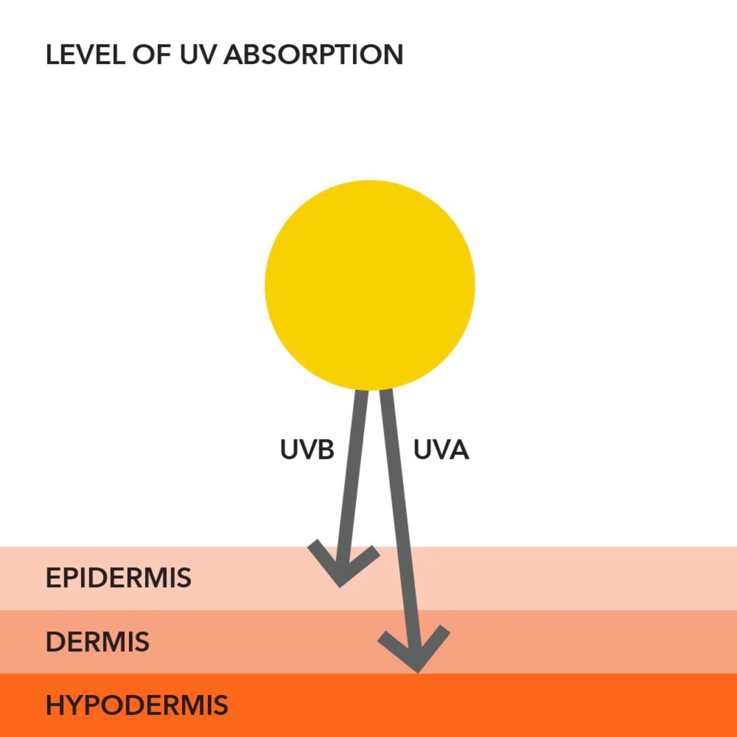Dr. Dennis Gross Skincare All-Physical Lightweight Wrinkle Defense Broad Spectrum SPF 30 (50ml) SPF Moisturizers Dr. Dennis Gross 