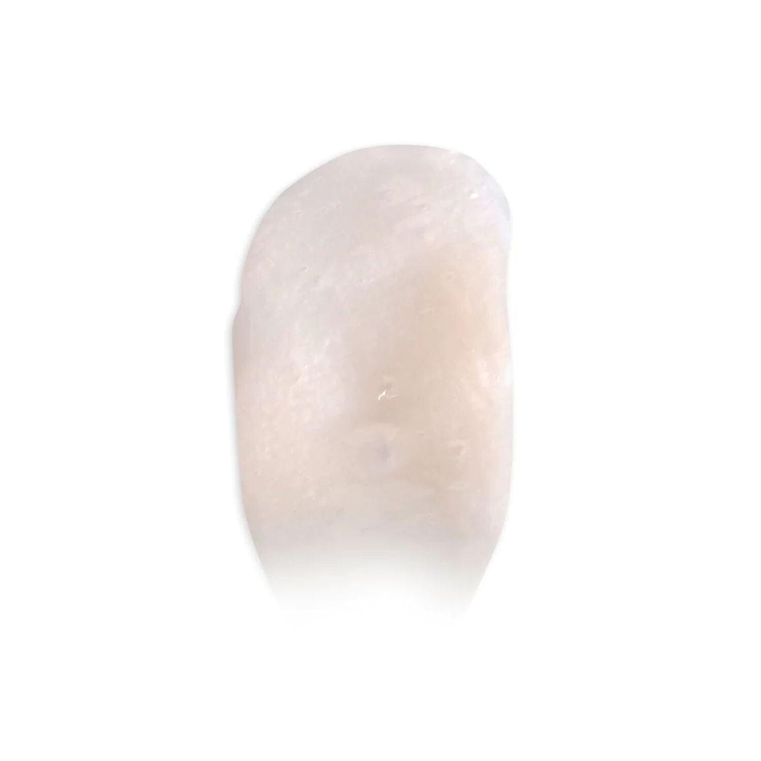 Ernest Supplies Cooling Shave Cream (89ml) Shaving Creams Ernest Supplies 