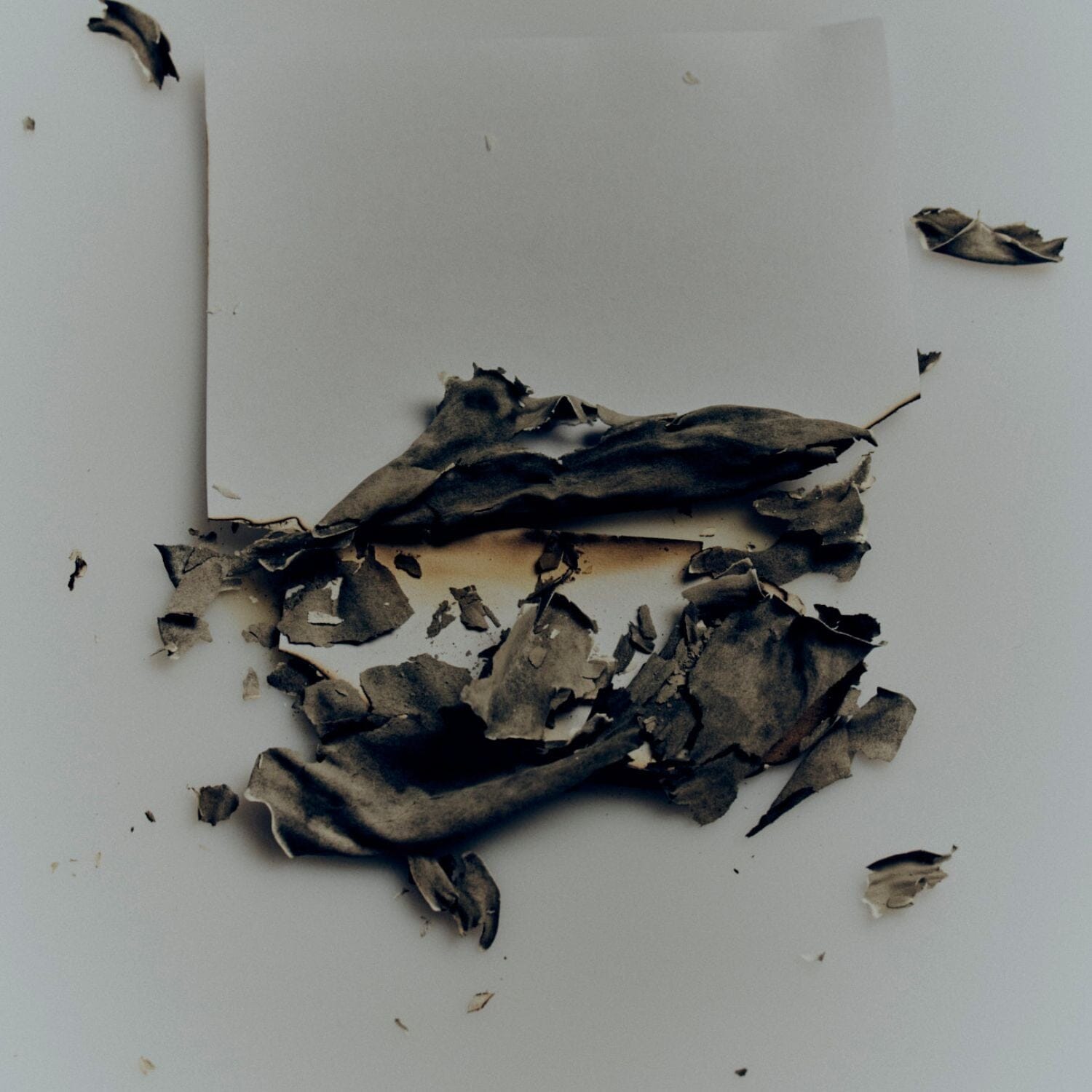 Morris Motley Papyrus Conditioning Handwash Refill (500ml) Hands & Feet Morris Motley 