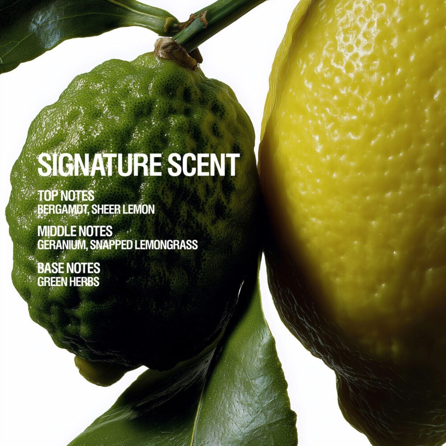 Grown Alchemist Resurfacing Targeted Body Cleanser (300ml) Shower Gels & Washes Grown Alchemist 