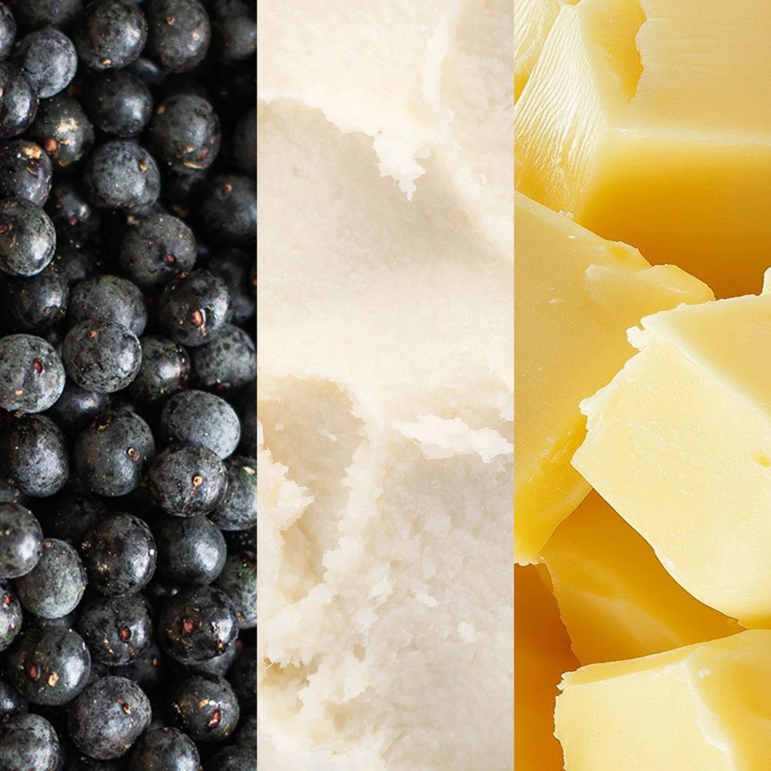 Grown Alchemist Rich Restorative Body Cream (120ml) Body Moisturizers Grown Alchemist 