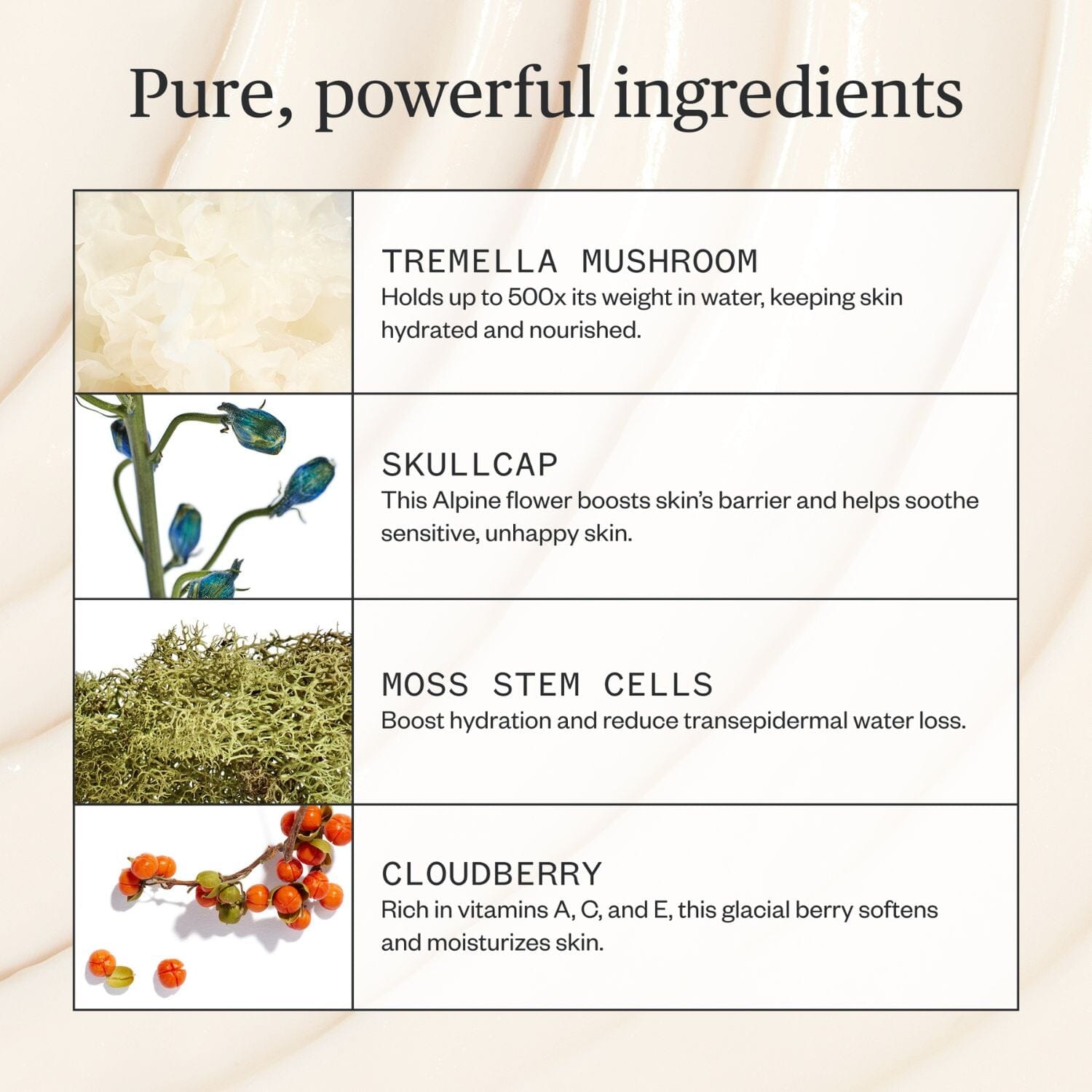 Ursa Major Alpine Rich Cream (50ml) Moisturizers Ursa Major 