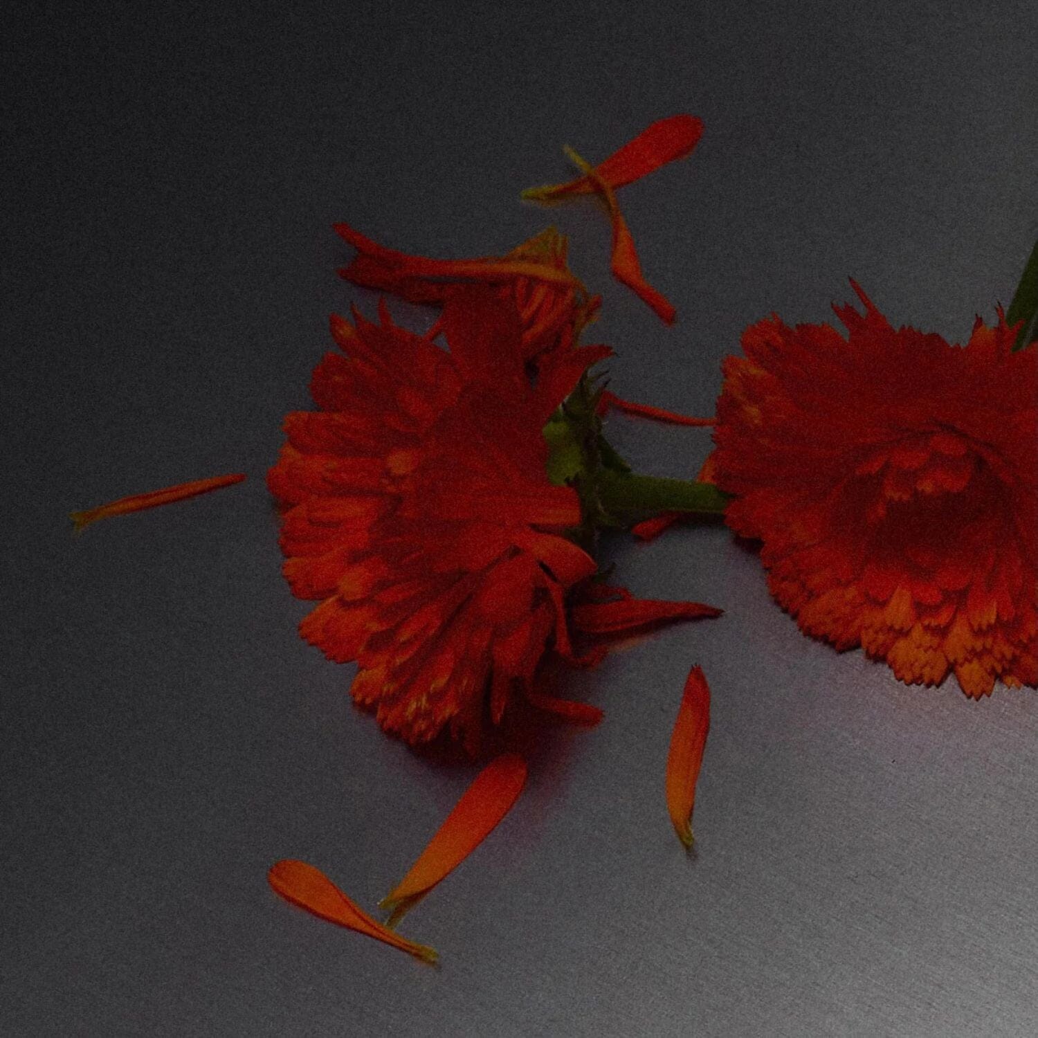 Abel Natural Room Spray - Scene 02 (Size Options) Abel 