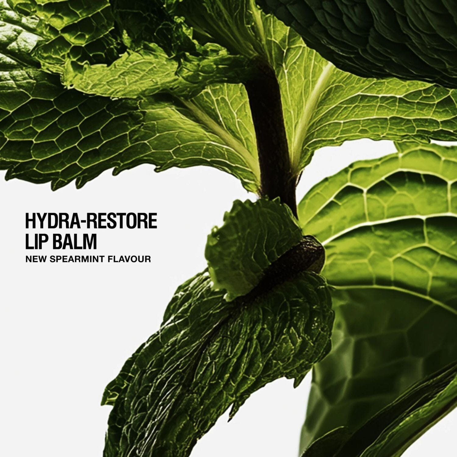 Grown Alchemist Hydra-Restore Lip Balm - Spearmint (12ml) Lip Balms Grown Alchemist 