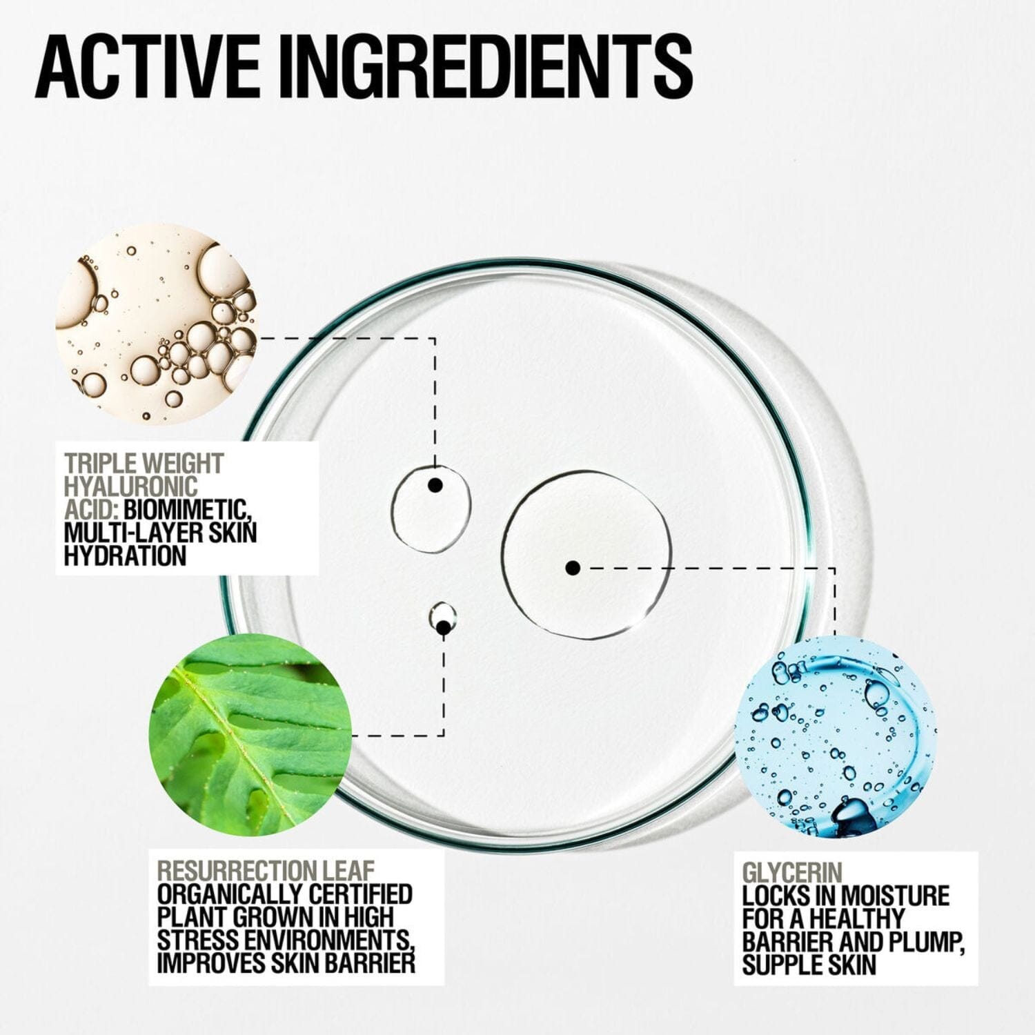 Grown Alchemist Instant Smoothing Serum (25ml) Serums Grown Alchemist 